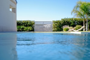 A swimming pool with a gate, a palm tree, and a hedge.