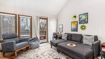 TV connectée, cheminée, livres