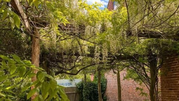 Terrace/patio - Apotekarns Bed & Breakfast (Simrishamn)