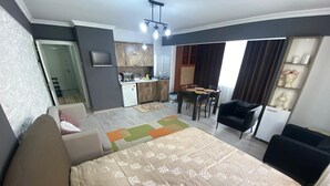 Une chambre moderne dotée d’un grand lit, d’une petite kitchenette, d’un coin repas et d’un espace de vie.
