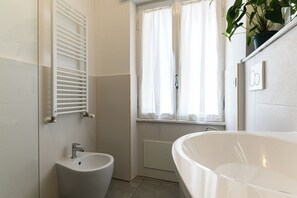 Shower, hair dryer, bidet, towels