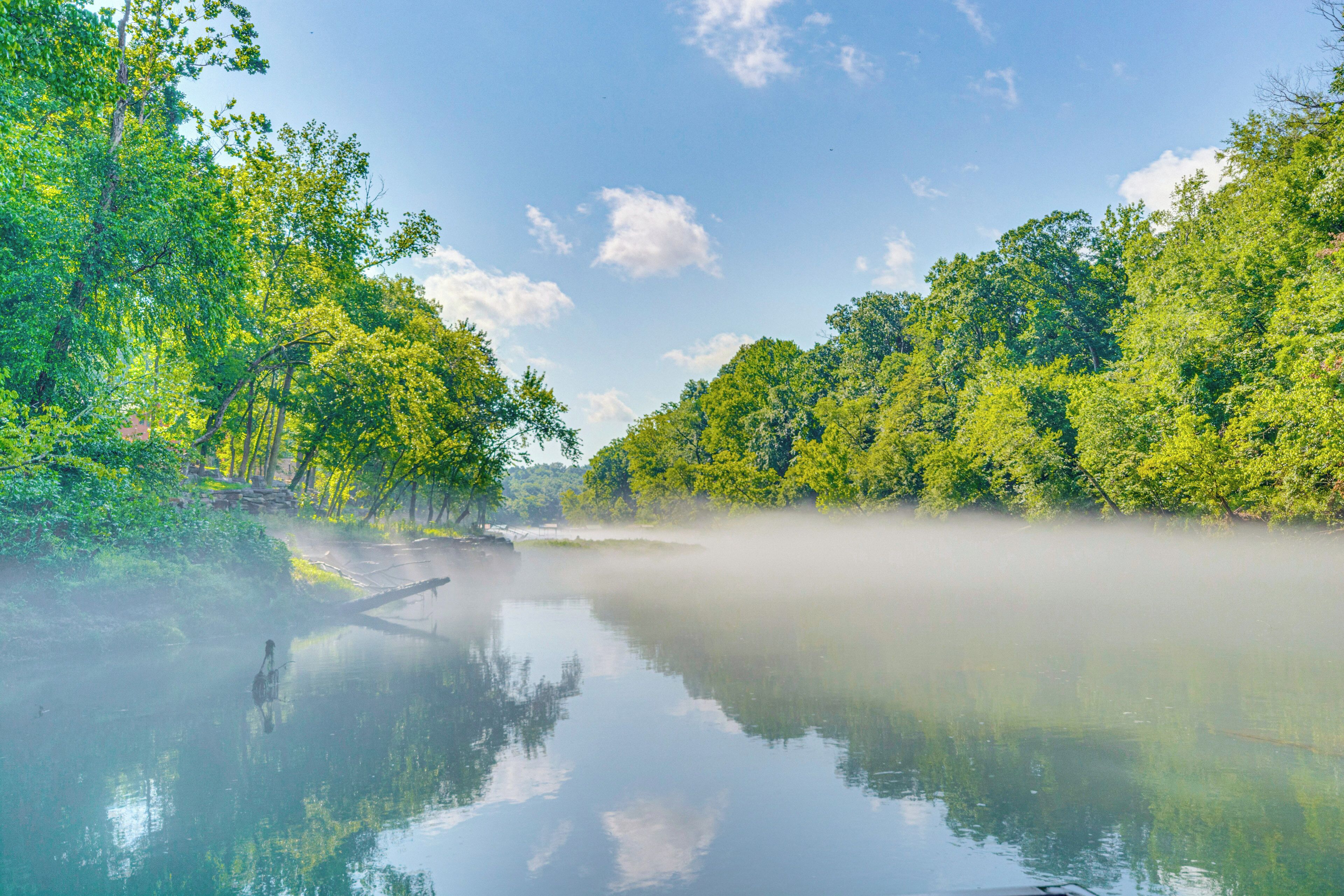 Ein friedlicher Fluss, umgeben von üppigem Grün und einem klaren Himmel.