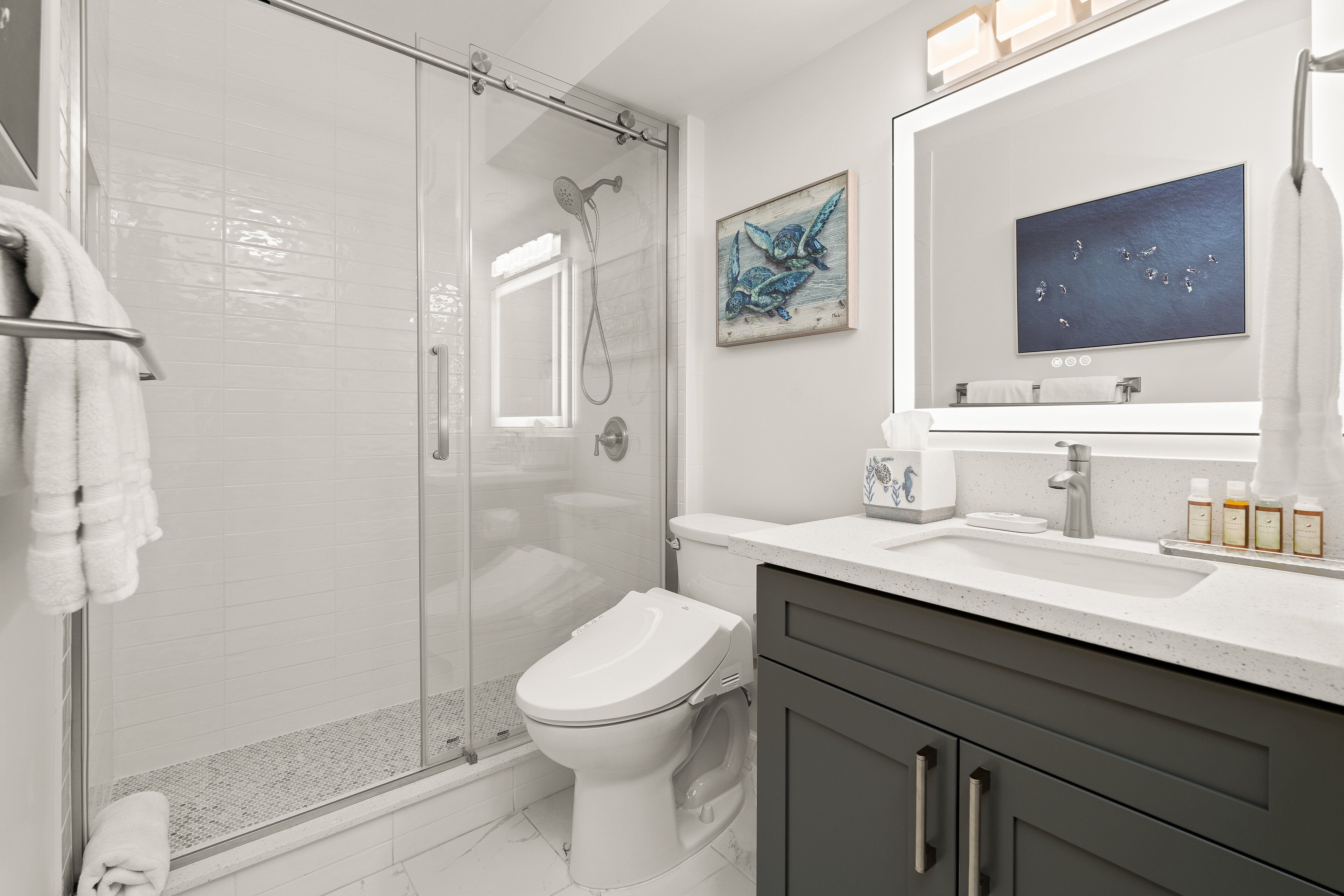 Shower, hair dryer, bidet, towels