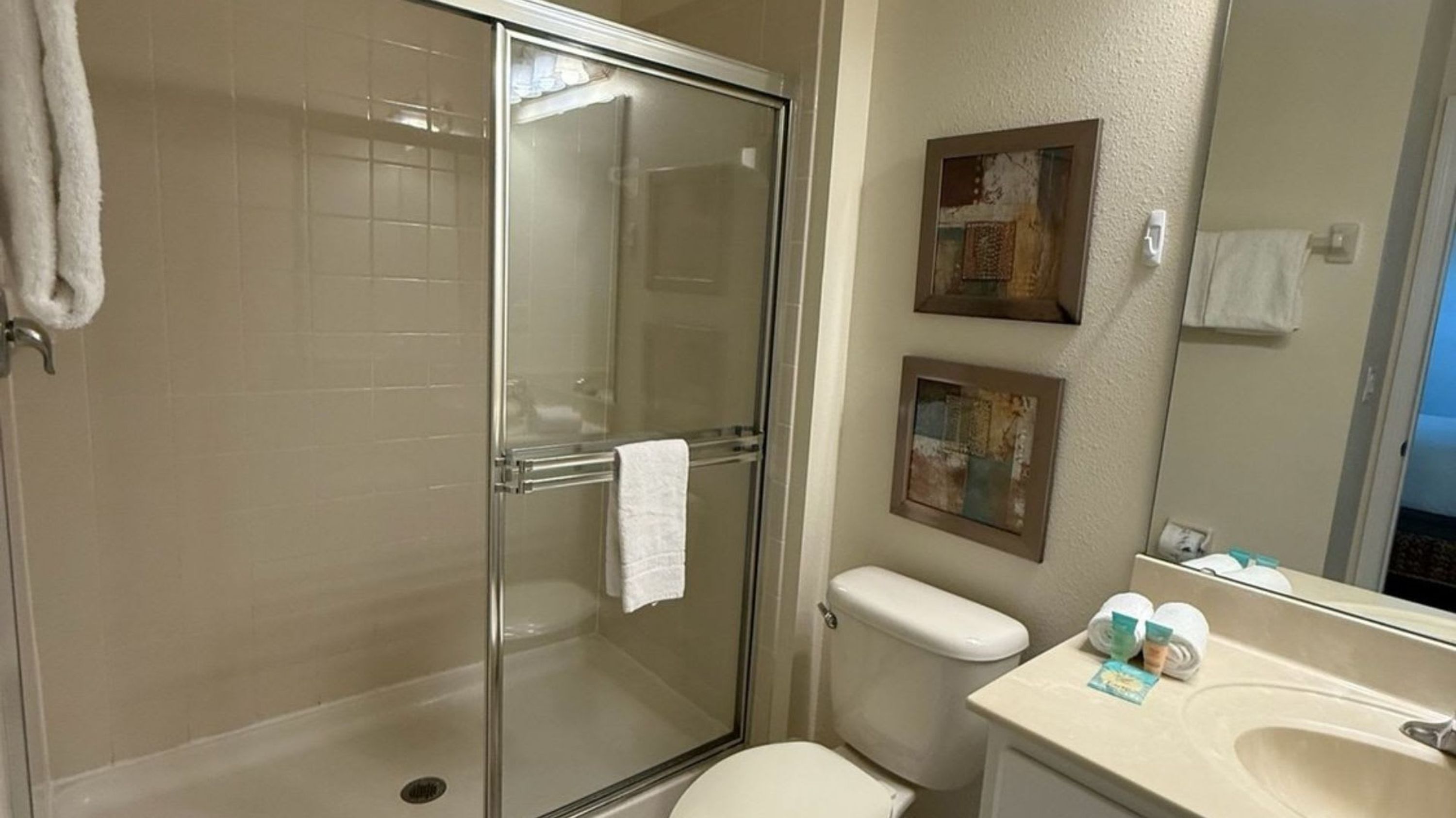 A bathroom with a glass shower enclosure, a toilet, and a sink with toiletries.