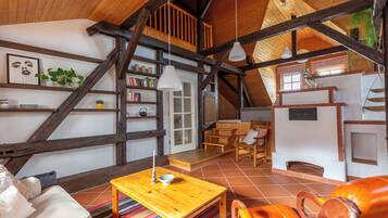 Smart TV, fireplace, books