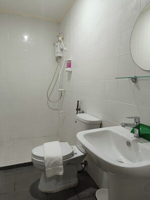 Une salle de bain équipée de toilettes, d’un bidet et d’un lavabo.
