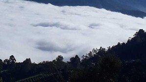 Un paysage montagneux, avec une couche de nuages au-dessous des sommets.