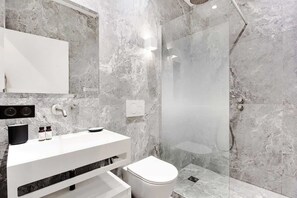 Regadera, secadora de cabello, shampoo 