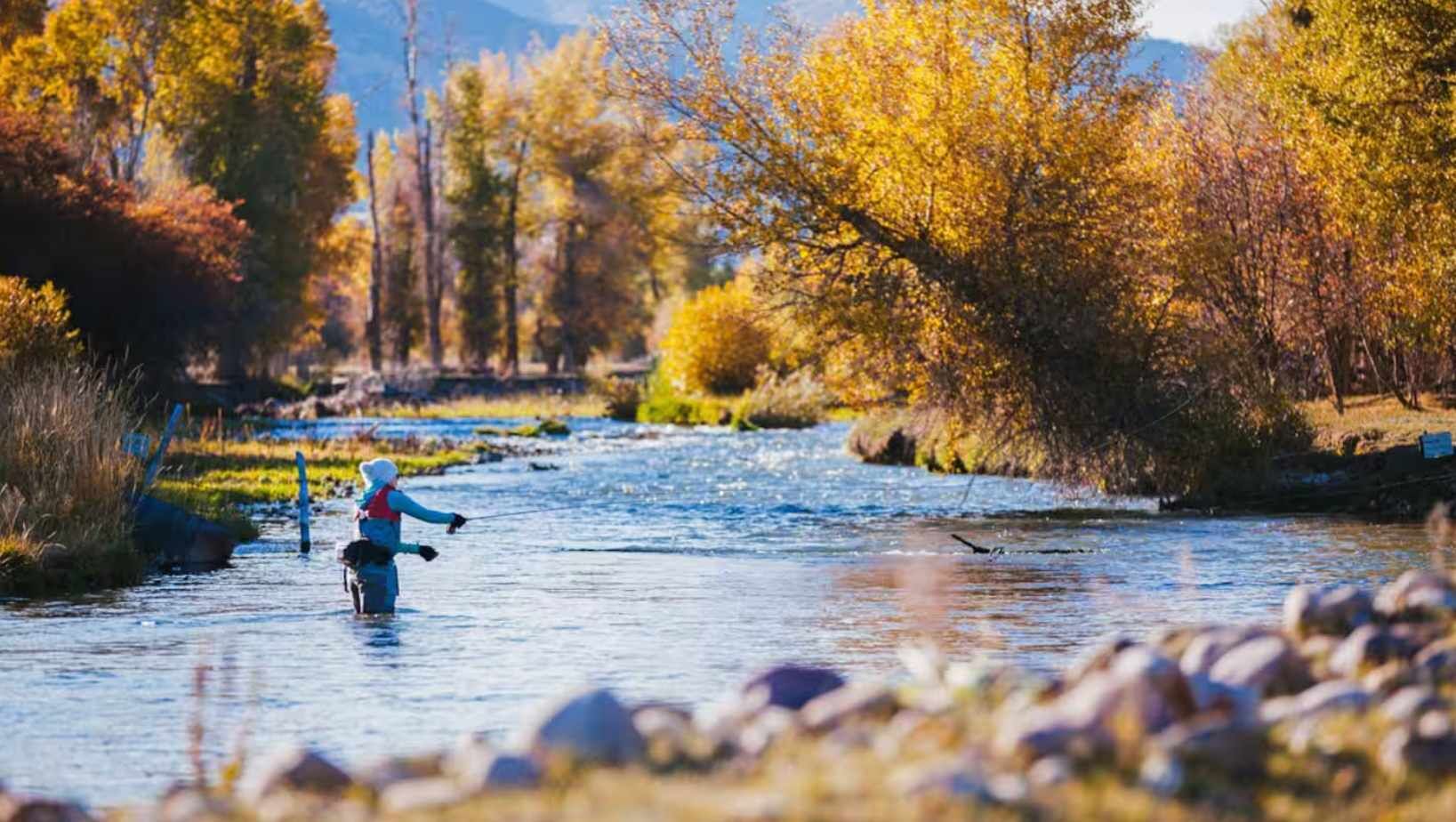 Una persona pescando en un río rodeado de árboles de colores otoñales.