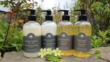 Free toiletries, hair dryer, towels, soap