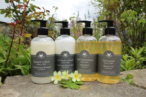 Free toiletries, hair dryer, towels, soap - Henllys Estate B&B (Llandovery)