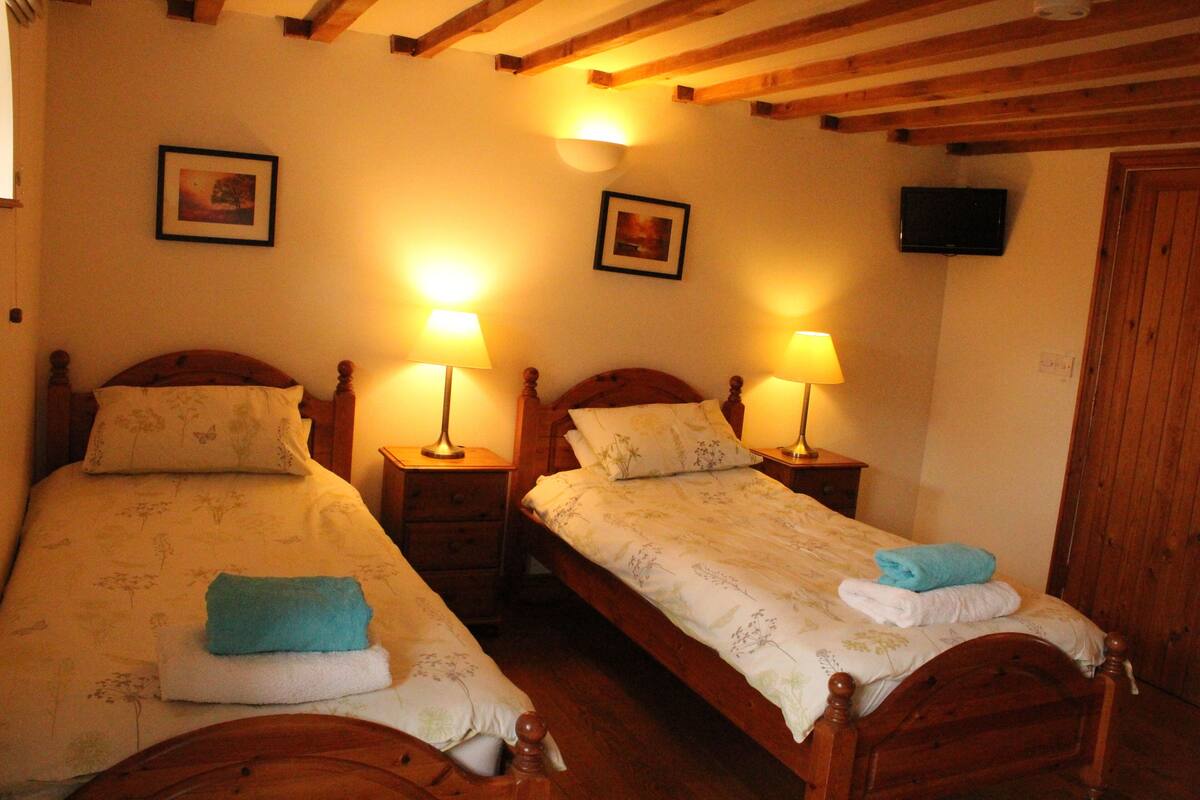 A room with two wooden beds, each with a nightstand and a lamp. There are framed pictures on the walls and a television mounted above the door.
