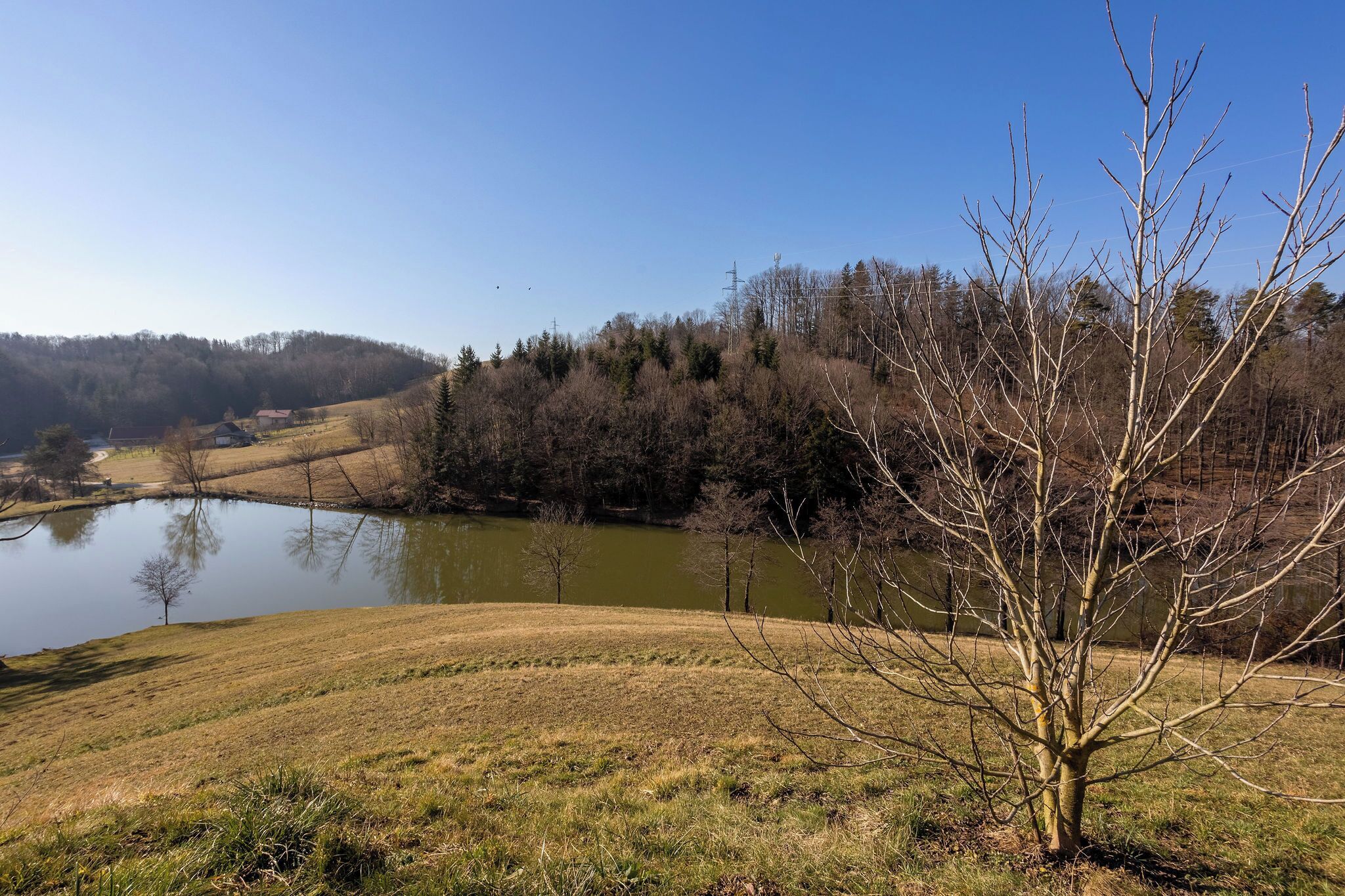 A serene landscape with a pond, grassy fields, and a tree in the foreground.