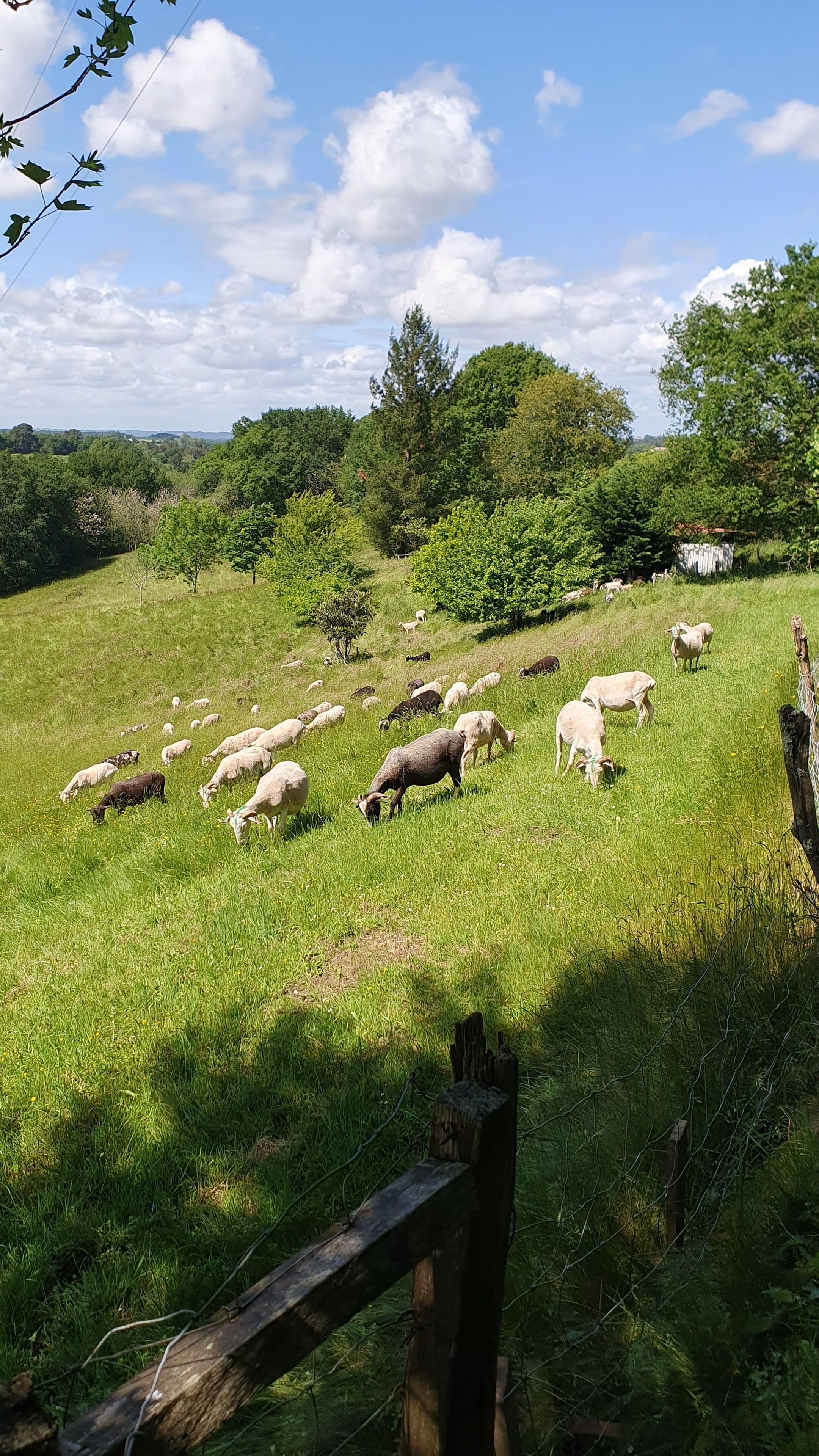 Photo - La Maison de Judith Chambres d hôtes