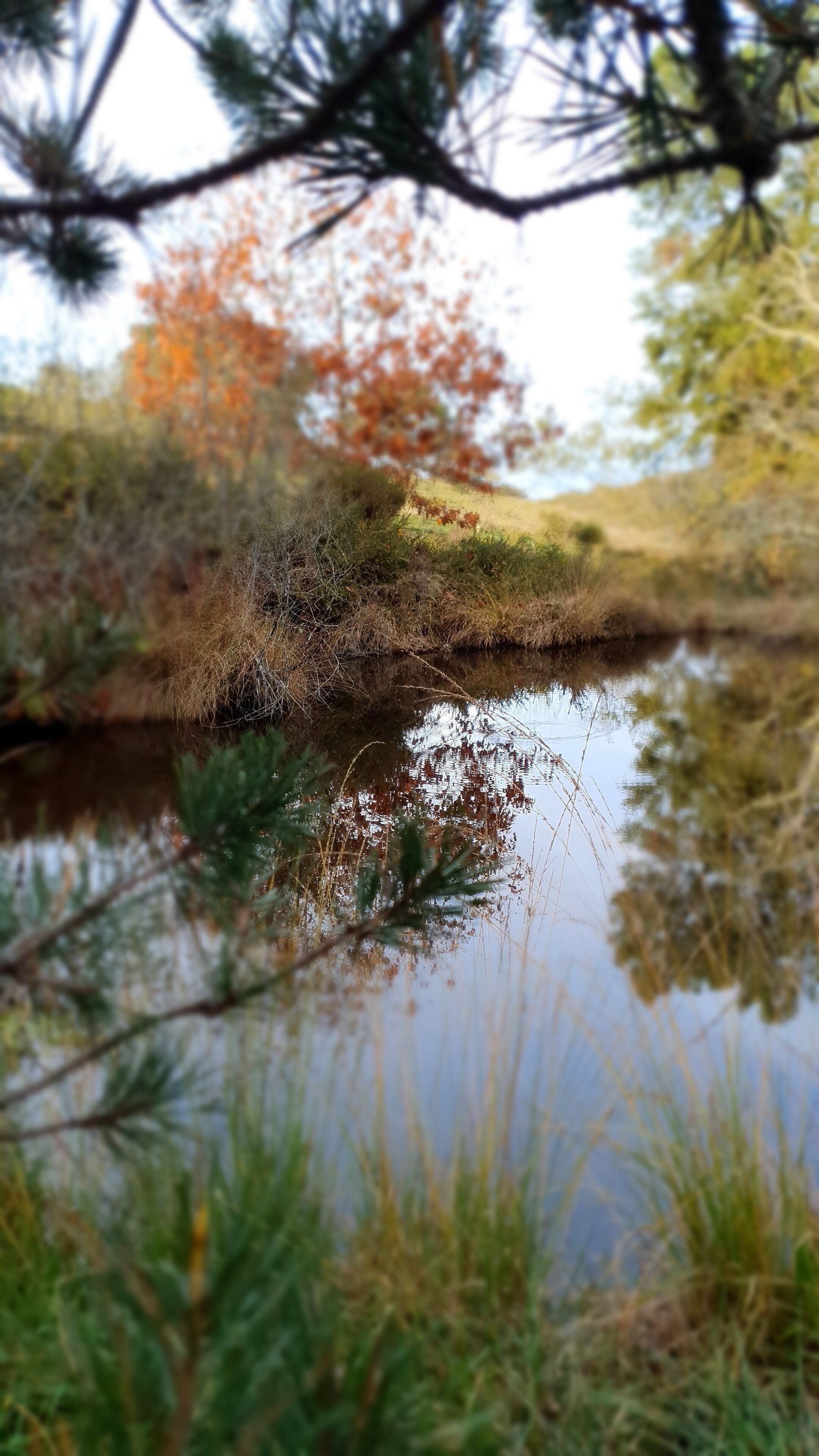 Photo - La Maison de Judith Chambres d hôtes