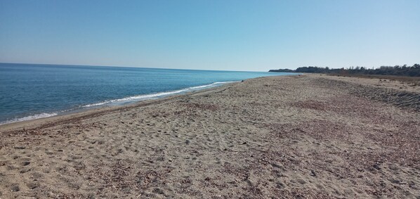 Beach - Cosy house + terrace, 150m from the sea (Santa-Maria-Poggio)