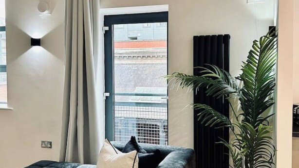 A modern living room with a sofa, a large potted plant, and a window with curtains.