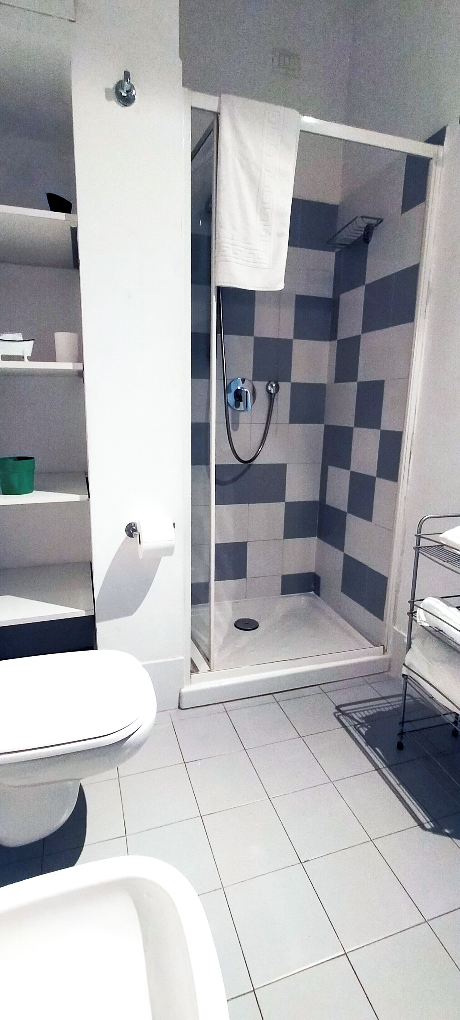 Ducha, secador de pelo, toallas, jabón