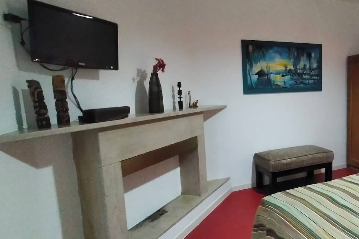 Appartement | 1 slaapkamer, donzen dekbedden, een kluis op de kamer, gratis wifi