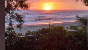 A sunset view from a covered area overlooking the beach, with vegetation in the foreground.