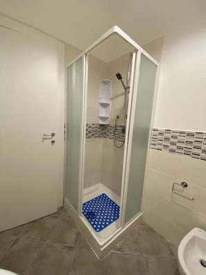 Shower, hair dryer