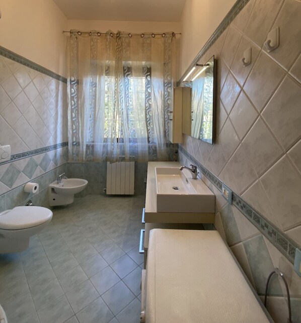 Shower, hair dryer