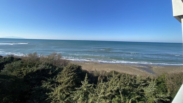 A coastal view with a clear sky, a sandy beach, and dense green foliage. - THREE-ROOM APARTMENT SLEEPS 5 IN THE CONCHIGLIA (San Vincenzo)