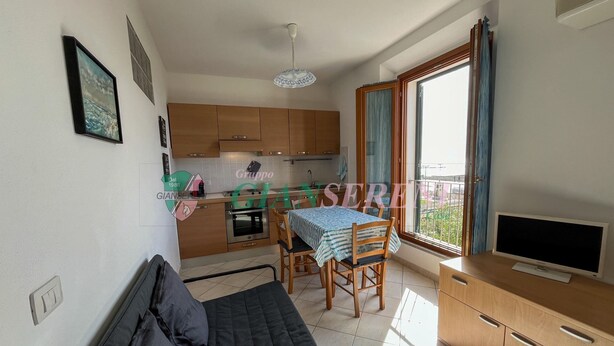 A compact living space with a kitchenette, a dining area, a sofa, and a TV.