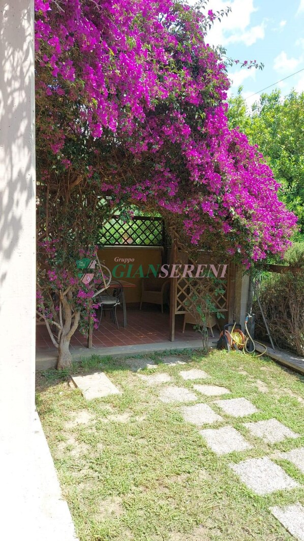 A covered outdoor seating area with a pergola, surrounded by lush greenery and vibrant purple flowers.