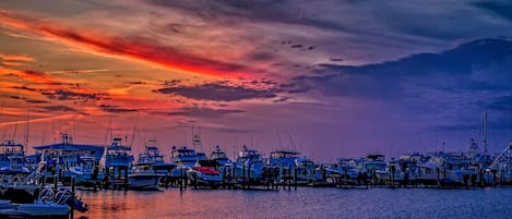 Marina