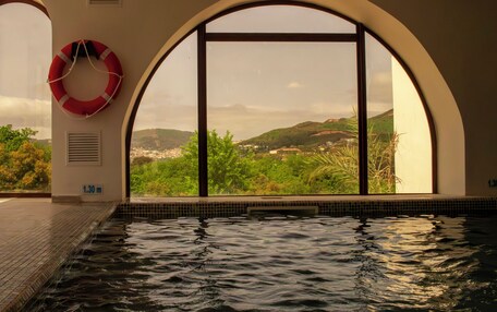 A swimming pool with a view of a mountainous landscape through arched windows.