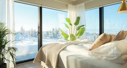 The Glass House - under Aurora