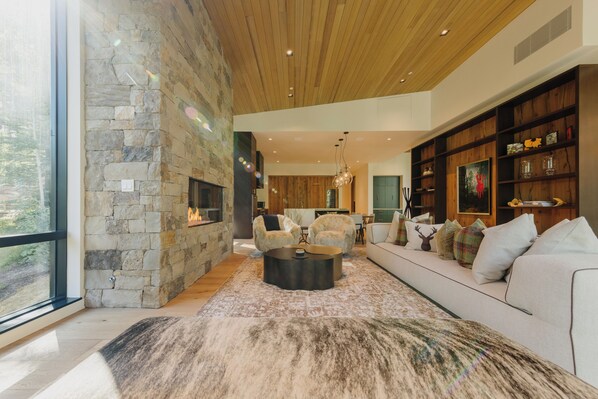 Smart TV, fireplace, books, offices