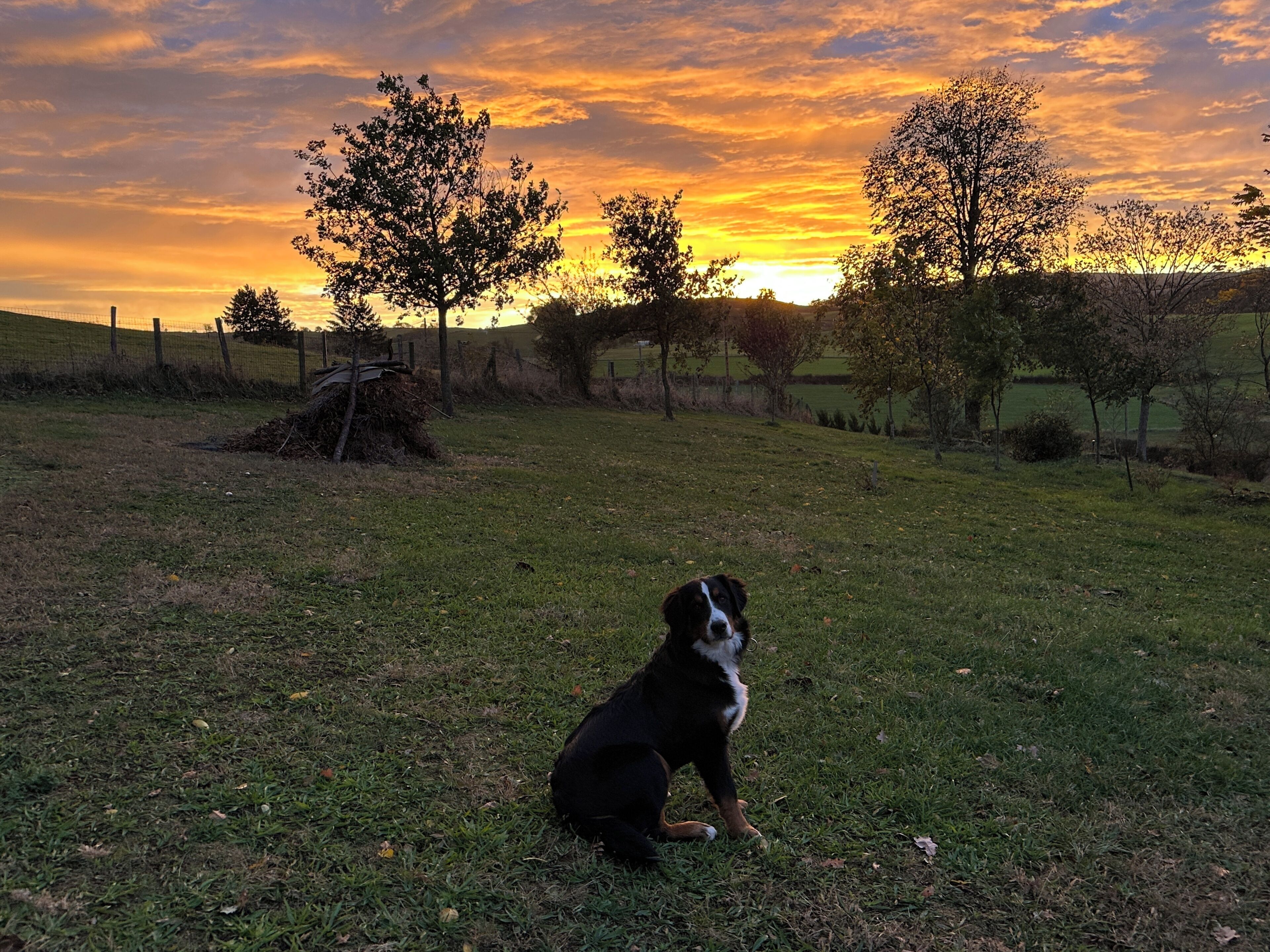 Enceinte de l’hébergement