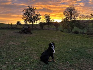 Jardines del alojamiento