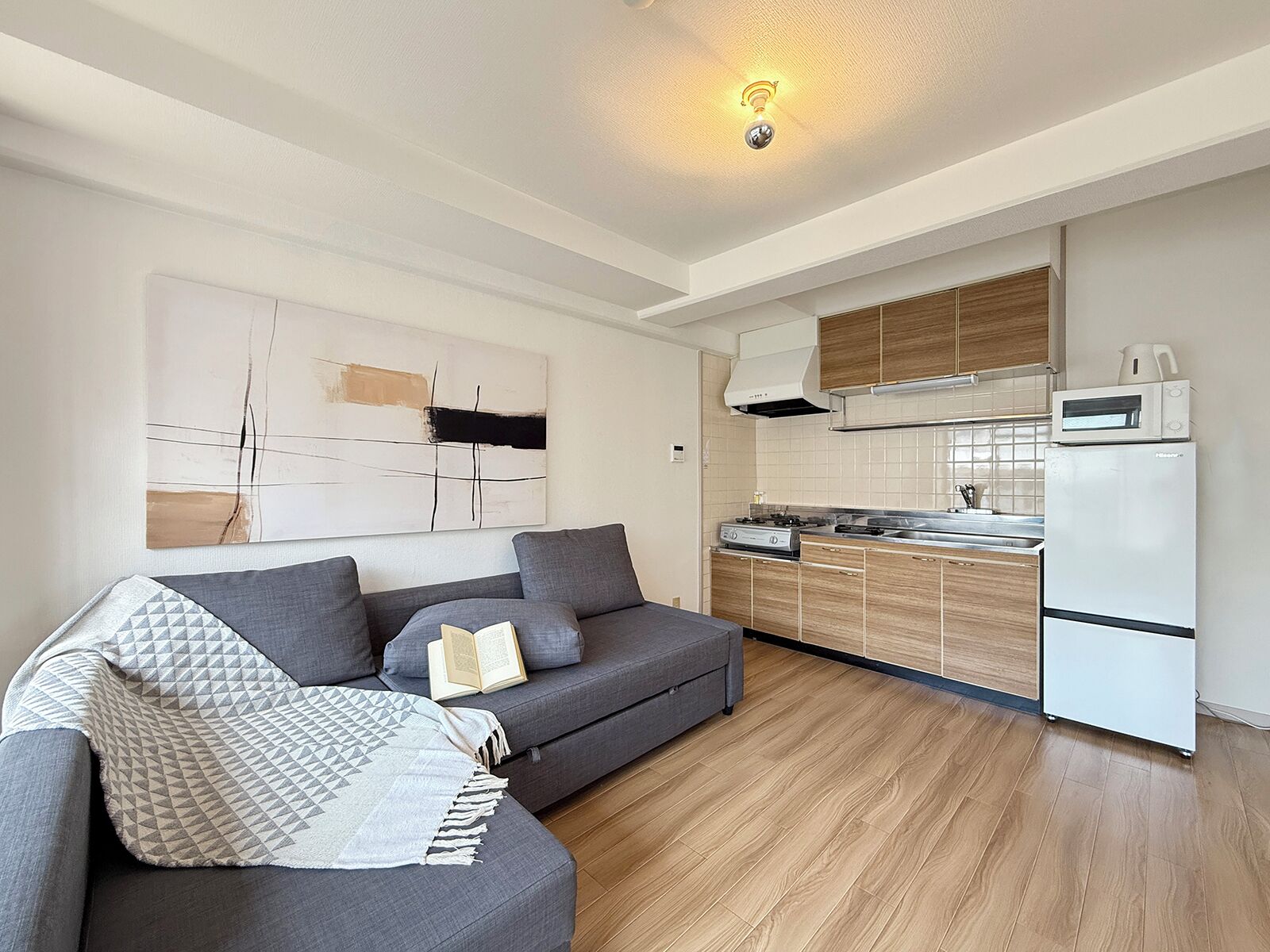 Deluxe Apartment | Private kitchen | Fridge, microwave, electric kettle
