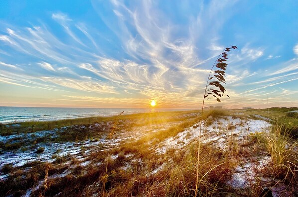 Beach - Charming 2-bedroom bungalow with a tropical forest garden in Santa Rosa Beach (Santa Rosa Beach)