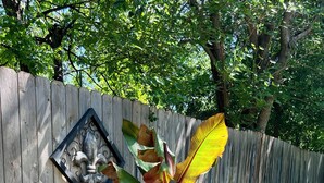 A garden with a wooden fence, a decorative metal plaque, and a planter with large leaves and pink flowers. - 3BR in Crestview • 2 Kings • UT • Downtown • Events • Free Parking (Austin)