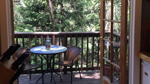 A wooden deck with a table and chairs, a door leading outside, and a view of trees.