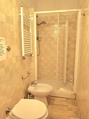 Shower, hair dryer, bidet, towels