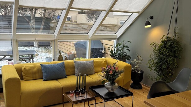 A modern living room with a yellow sofa, a coffee table, and a dining table. There is a skylight above the sofa and a hanging plant on the wall. - Family house in Mosfellsbær (Mosfellsbær)