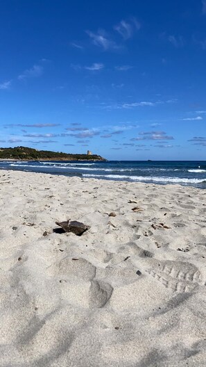 A sandy beach with footprints and a turtle shell. - Villa Clara in Tertenia (Tertenia)