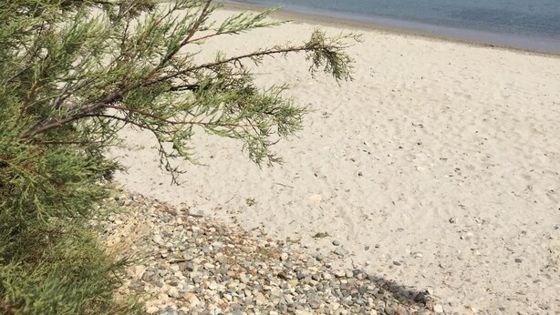 Ein Strand mit klarem Wasser und einer fernen Insel.
