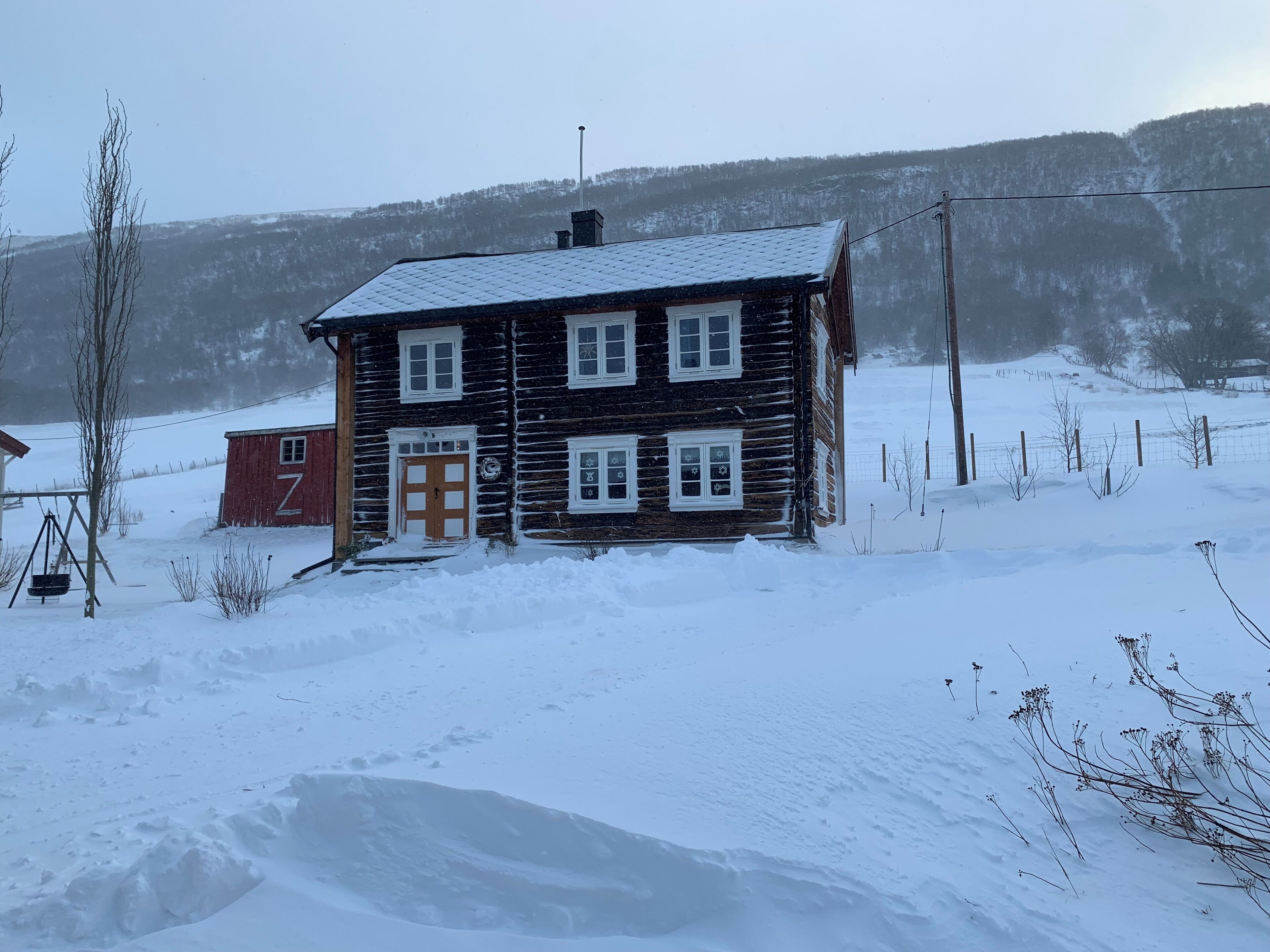 Eksteriør