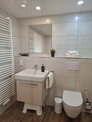 Shower, hair dryer, towels, toilet paper