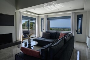 Télévision, cheminée, espaces bureaux