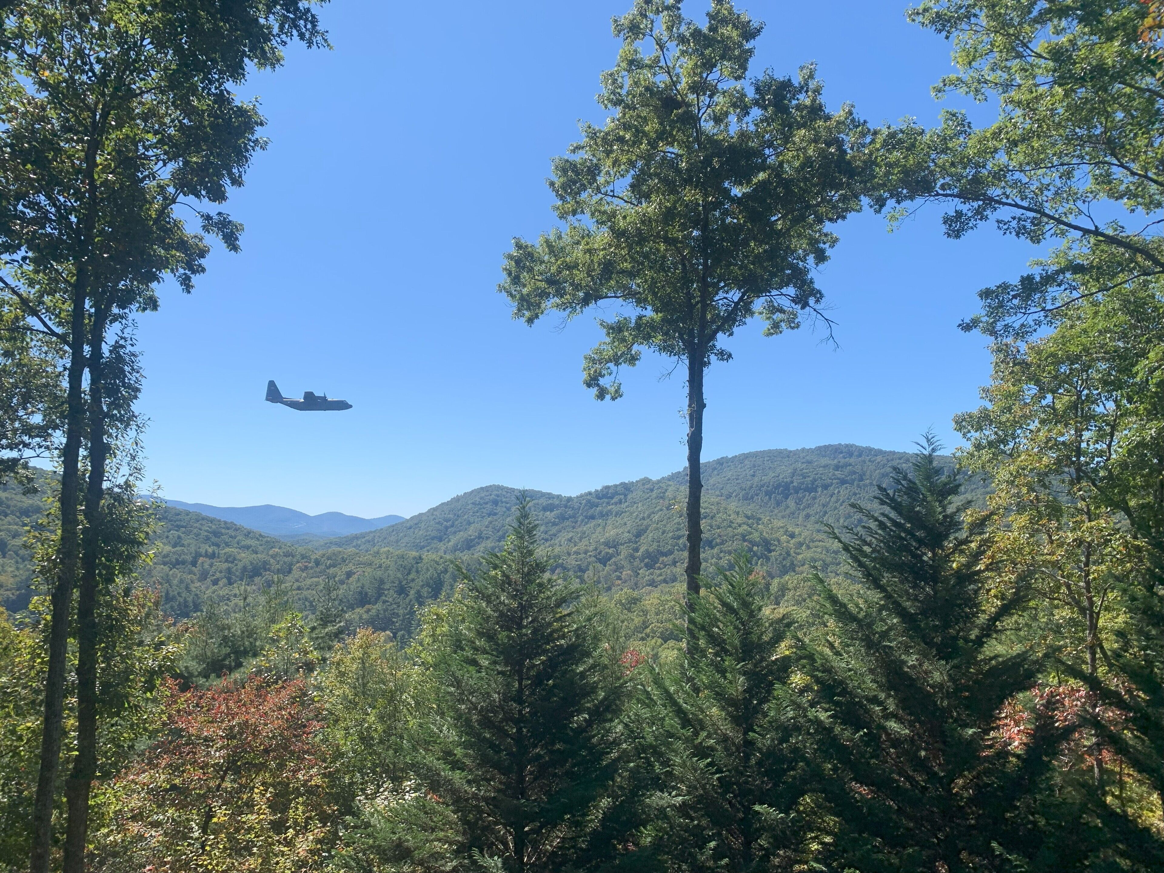 Paisatge amb cel sereno, arbres i un avió en vol.