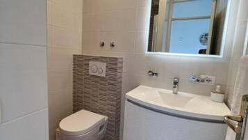 Shower, hair dryer, bidet, towels