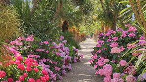 A pathway flanked by vibrant pink and red flowers, leading through a garden with palm trees and other greenery. - Château de Valmer (La Croix-Valmer)