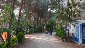 A forested area with a gravel path, a woman and a child walking, and a blue tent on the right. - Happy Camp in Selema Camping (Siniscola)